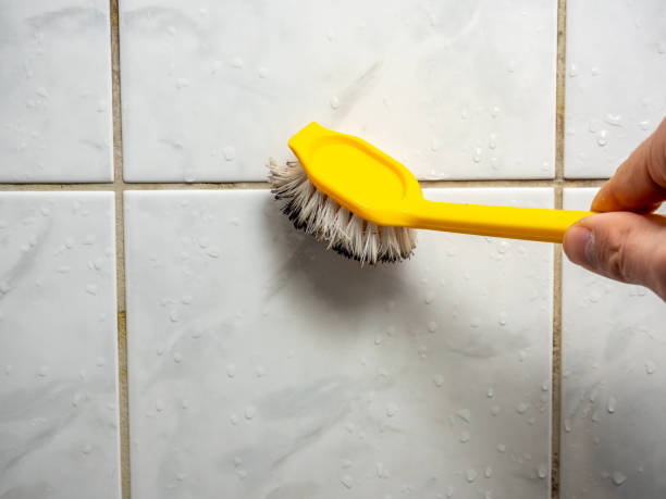 Best Toxic Mold Removal  in Lake Meade, PA