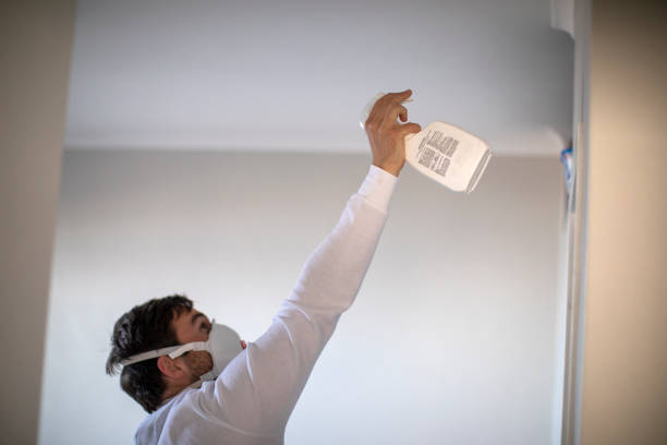 Best Mold Removal Process  in Lake Meade, PA